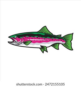 Vector Illustration of Rainbow Trout Fish with Simple Illustration