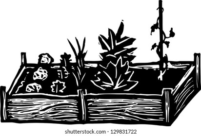 Vector illustration of raised bed garden