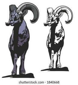 Vector illustration of a ram.