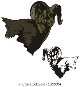 Vector illustration of a ram.