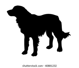 vector illustration of the rambling dog on white background