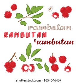 Vektorillustration-Illustration von Rambutan und Blattdesign einzeln auf weißem EPS10-Hintergrund