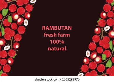 vector illustration of rambutan and leaf design background brown text fresh farm 100% natural EPS10