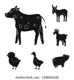 Vector illustration of ranch  and organic  symbol. Set of ranch  and food stock vector illustration.