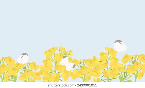 Vector illustration of rape blossom landscape