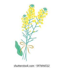 Vector illustration of Rape flower bouquet