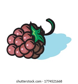 Vector Illustration Of Rasberry Isolated On The White Background In EPS10