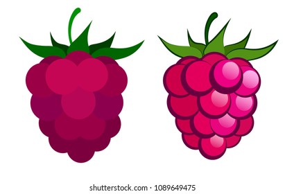Vector illustration with raspberries on white background. One picture in two versions