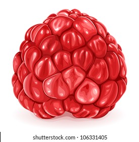Vector illustration of raspberry.