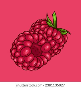 vector illustration of a raspberry