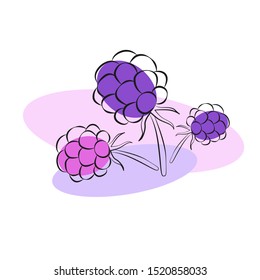 Vector illustration raspberry, BlackBerry, black outline, pink and purple berries. Logo.