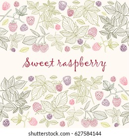 Vector illustration. Raspberry branches and berries. Seamless color pattern.