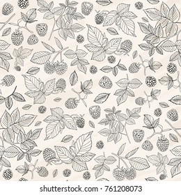 Vector illustration. Raspberry branches and berries. Seamless line pattern.