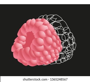 Vector illustration of a raspberry fruit. Raspberry vector icon. 