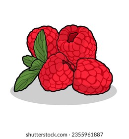 Vector illustration of raspberry isolated on white background