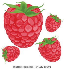 Vector illustration of Raspberry isolated on white background. Raspberries with leaf isolate. Side view raspberries set. Wild sweet red fruit in simple cartoon style. Dessert food.