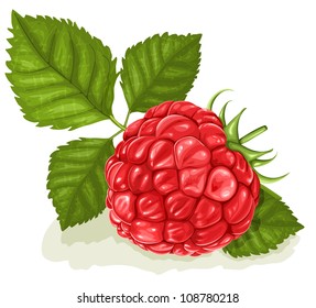 Ilustración vectorial de frambuesa con hojas. Sin malla, sin gradiente