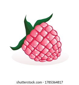 Vector illustration of a raspberry on a white background. Raspberry for labels, logo, menu and website, advertising, icons for printing on fabric. Healthy vegan food concept.