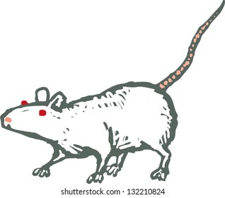 Vector illustration of a rat