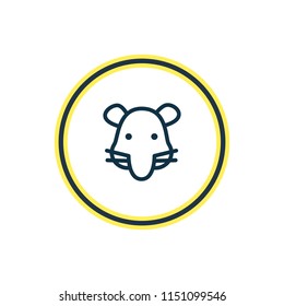 Vector illustration of rat icon line. Beautiful fauna element also can be used as mouse icon element.