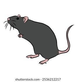 vector illustration of rat on white background