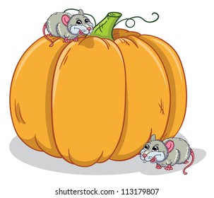 vector illustration of rats and pumpkin