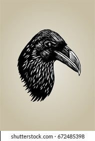 Vector Illustration of raven head