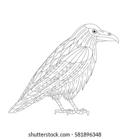 Vector illustration of the raven, isolated. Black and white artwork in ethnic and zentangle style. Coloring page, t-shirt, print, card, poster, tattoo design