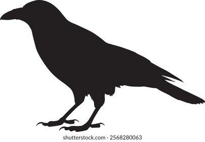 Vector illustration of raven silhouette