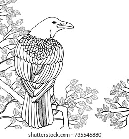 Vector illustration. Raven sitting on a tree with branches and leaves. Black and white illustration for coloring.