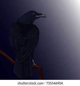 Vector illustration. Raven sitting on a branch.