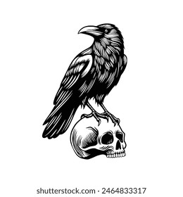 Vector illustration of a raven standing on a skull. Crow standing on a skull
