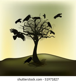 vector illustration of ravens