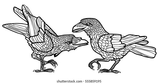 Vector illustration of ravens in love black and white