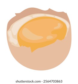 vector illustration of a raw chicken egg broken in half with the contents still visible
