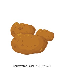 vector illustration with raw fresh potatoes