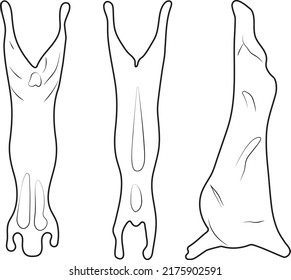 Ilustración vectorial de la carne cruda tres trozos diferentes de animales grandes