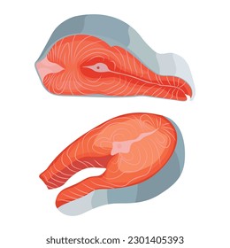 Vector illustration of raw tuna fillet. Fresh delicious seafood red meat. Cutting tuna fish for infographic material