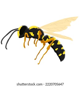 Vector illustration in vector realism style. Dangerous insect wasp on a white background. For print