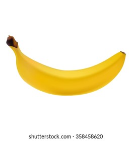 Vector illustration with realistic banana