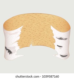vector illustration of realistic birch bark in the shape of a ribbon twisted edges. large sheet. isolated on white background
