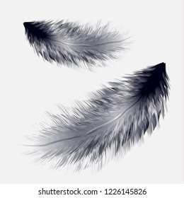 Vector illustration of realistic bird feather