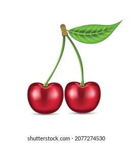 Vector Illustration Realistic Cherries White Background Ripe Berries