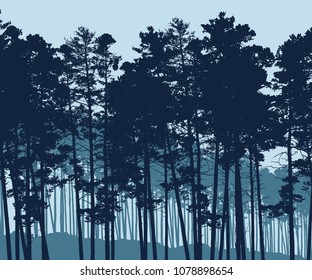 Vector illustration of a realistic coniferous forest under blue sky