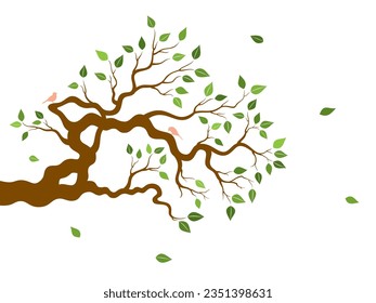 Vector illustration of realistic, curl tree branch with leaves and two birds, in color, isolated, on white background.