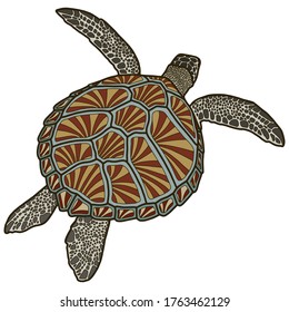 Vector illustration of a realistic design. Sea turtle with a red shell. Marine inhabitants. Children's illustration.