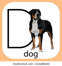 vector illustration of a realistic dog on an isolated background with the word dog, an educational card with a realistic image of a dog