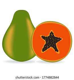 Vector illustration realistic fresh papaya