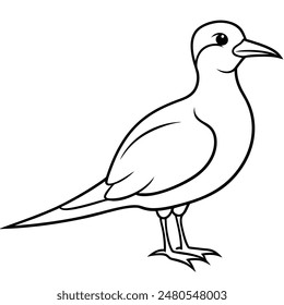 Vector illustration of a realistic full body view tropic bird