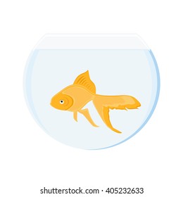 Vector illustration realistic goldfish in bowl. Gold fish swimming in transparent round glass bowl aquarium